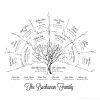 3 Generation Ancestor Family Tree - Branches