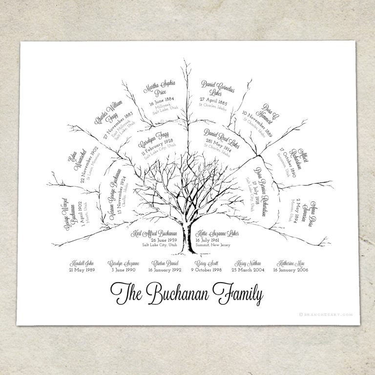 3 Generation Ancestor Family Tree - Branches