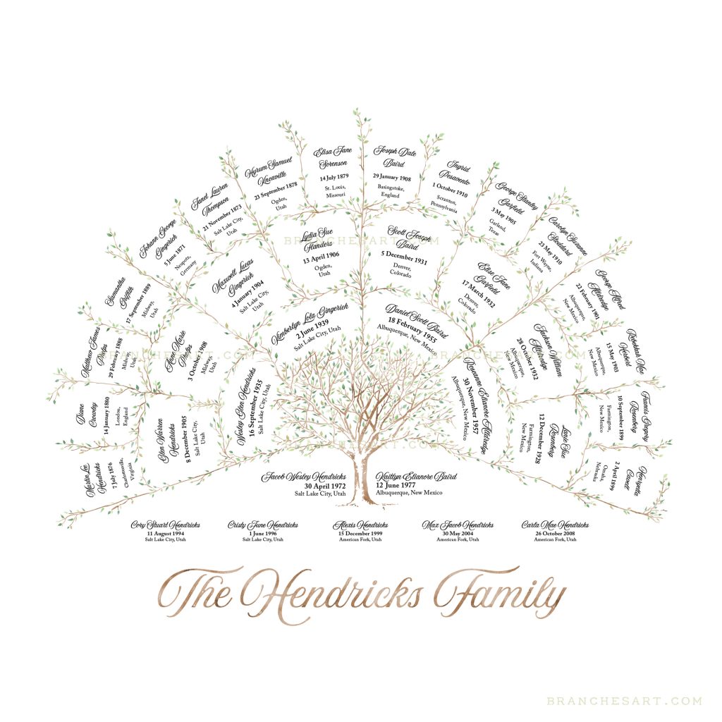Custom 4 Generation Ancestor Family Tree