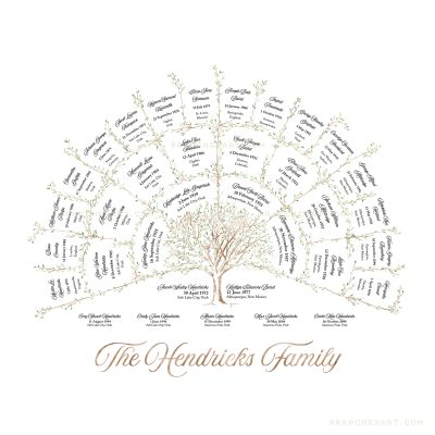 4 Generation Ancestor Family Tree - Branches