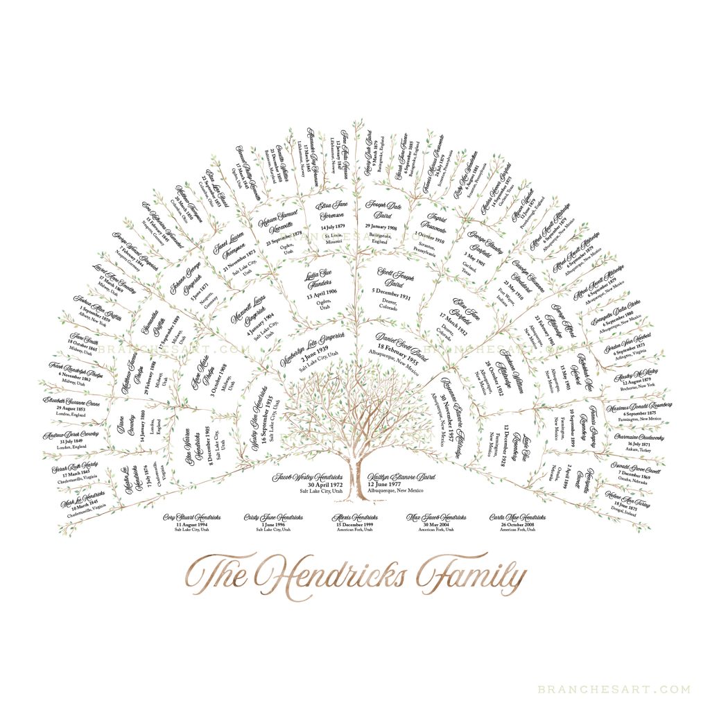 Custom 5 Generation Ancestor Family Tree