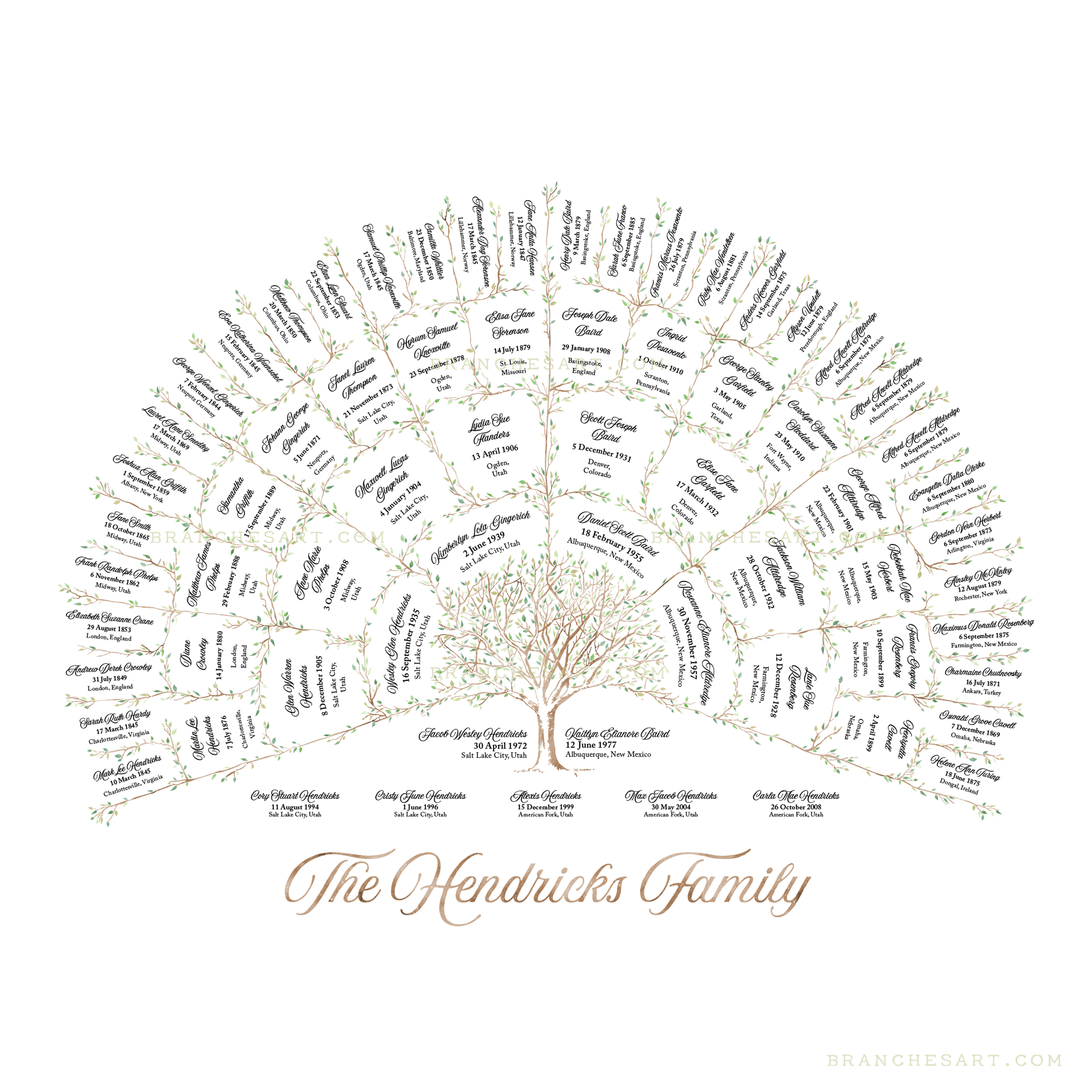 Branches Genealogy Chart