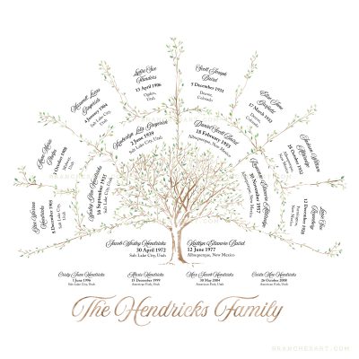 3 Generation Ancestor Family Tree - Branches