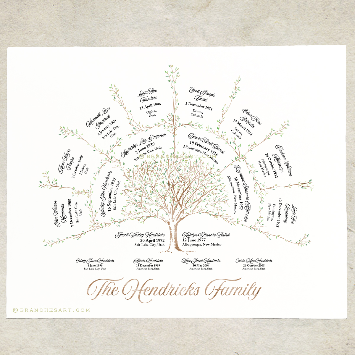 3 Generation Ancestor Family Tree - Branches