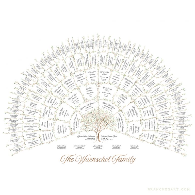 6 Generation Ancestor Family Tree - Branches