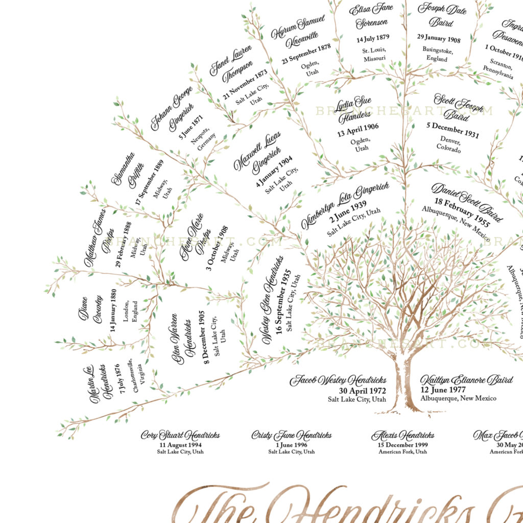 Upgrade from 3 to 4 Generations - Branches