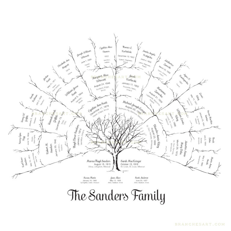 4 Generation Ancestor Family Tree - Branches