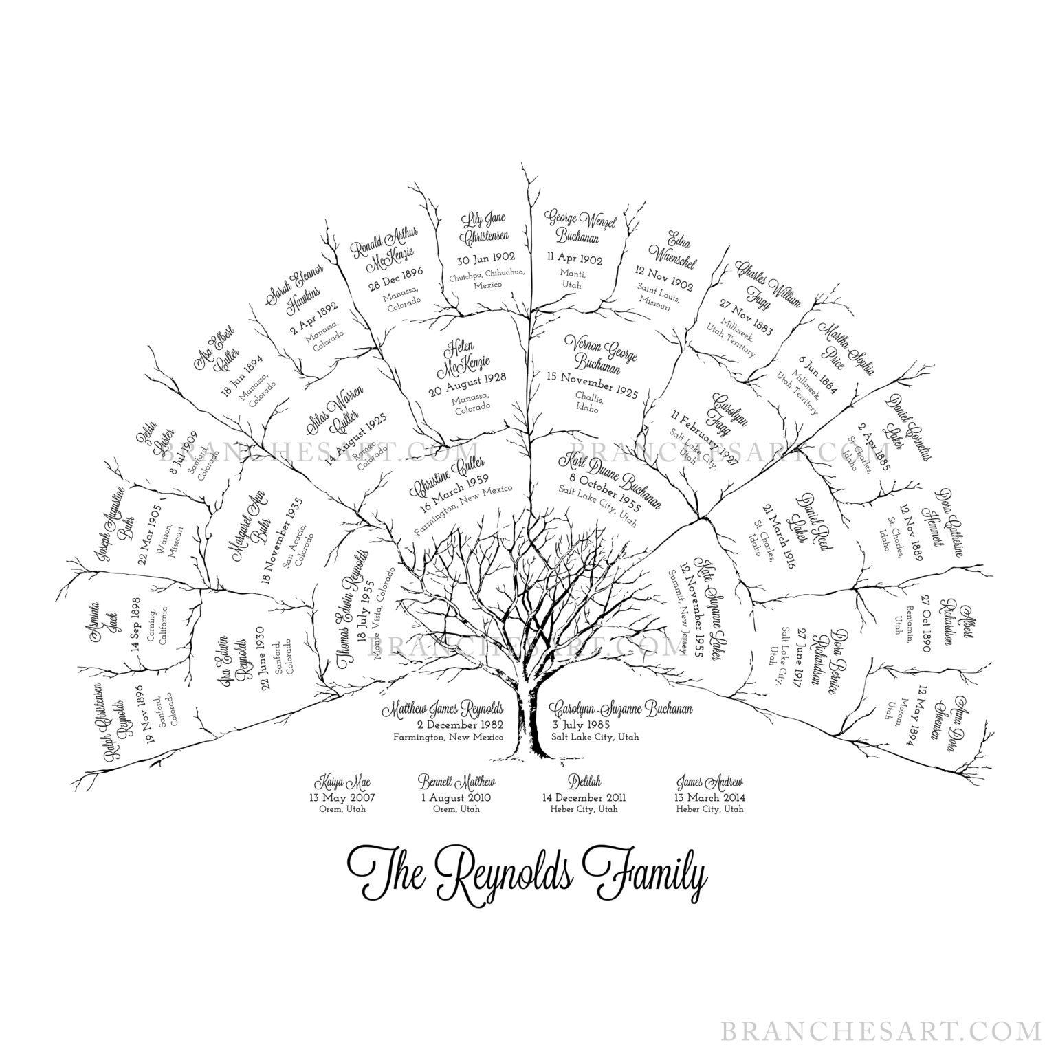 4 Generation Ancestor Family Tree - Name Submission Instructions - Branches