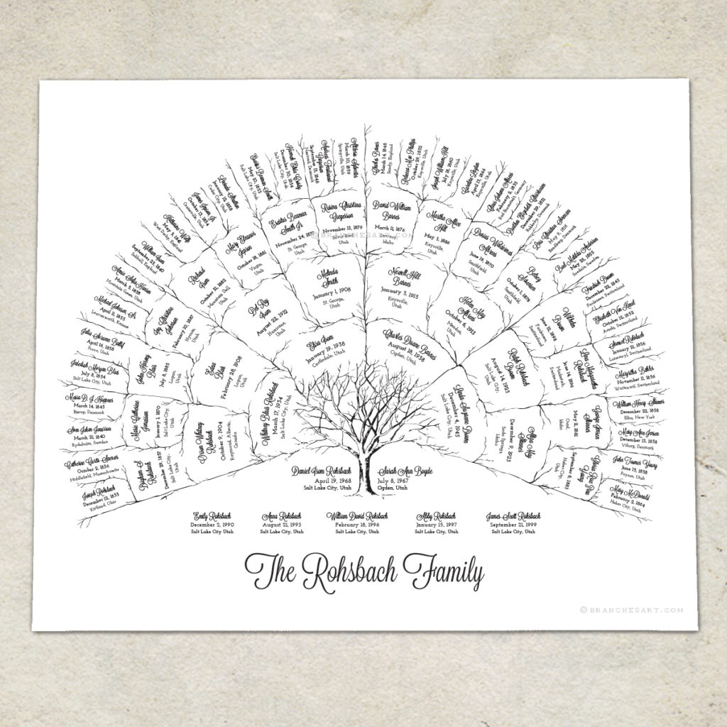 5 Generation Ancestor Family Tree - Branches